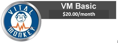 VM Basic - $20.00 / month per provider