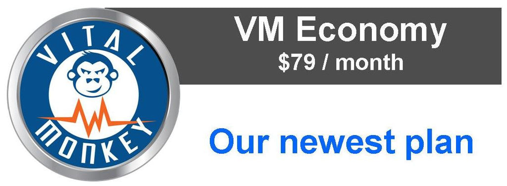 VM Economy $79 / month per provider